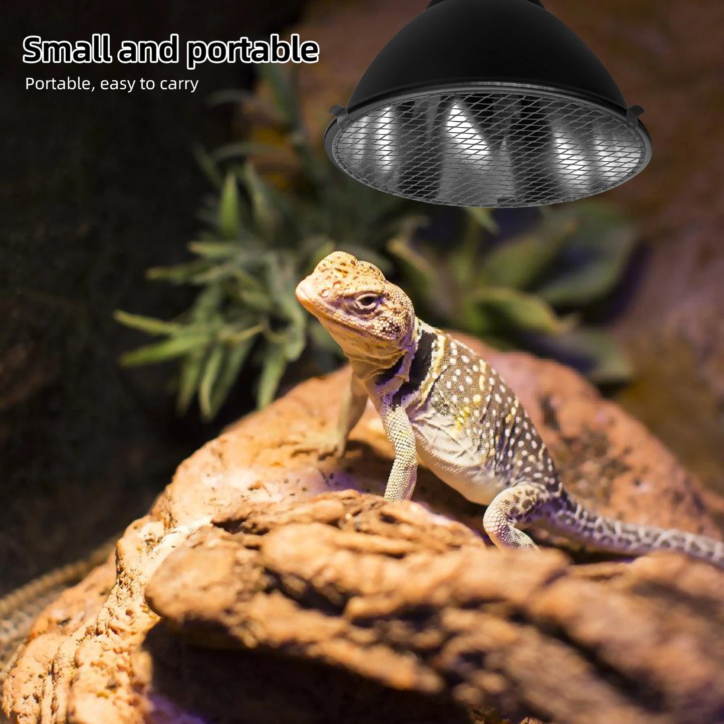 Grille de Protection Lampe Chauffante pour Terrarium Reptile