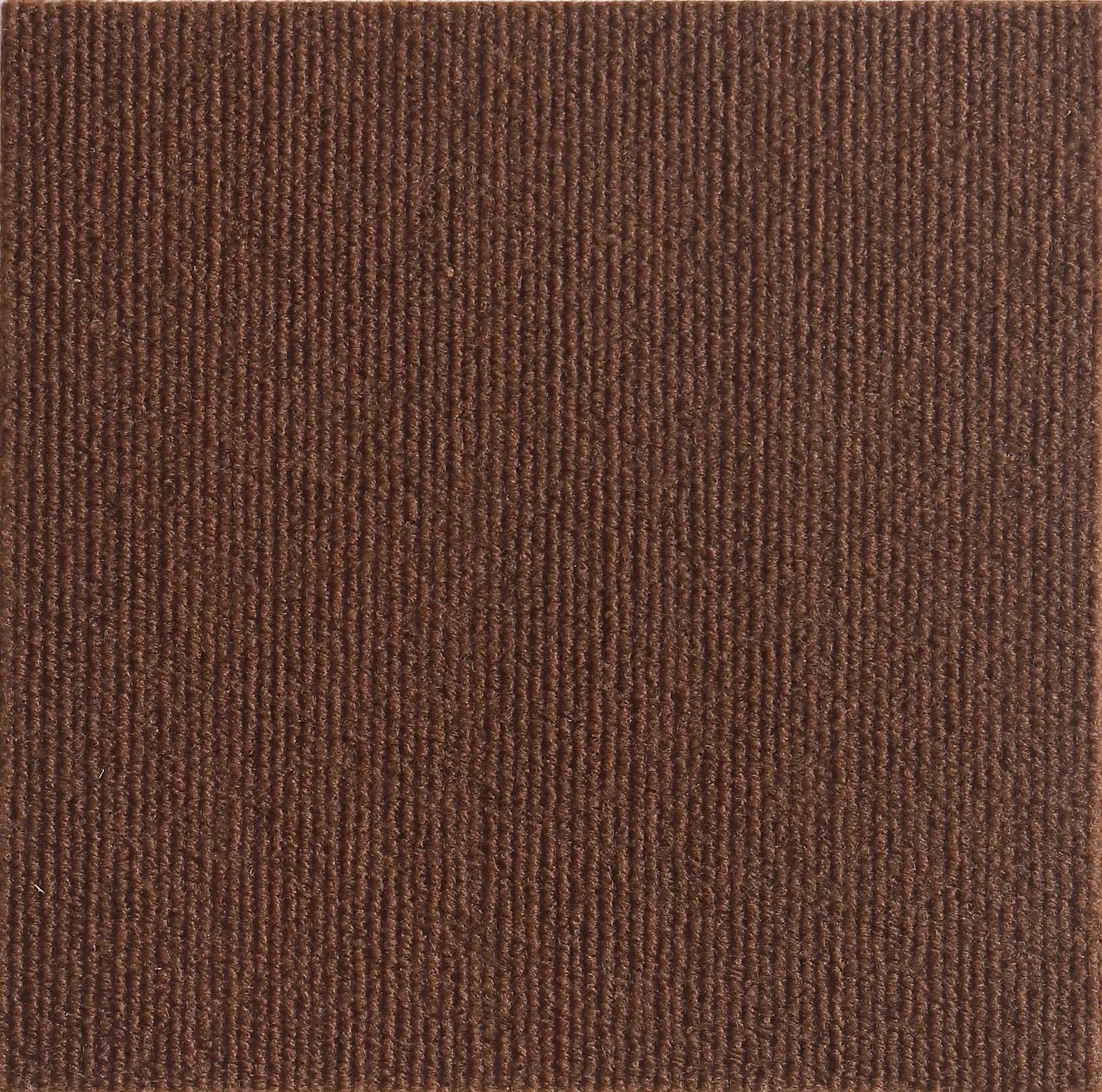 Tapis Griffoir Adhésif pour Chat — Protège Meubles, Antidérapant & Multifonction