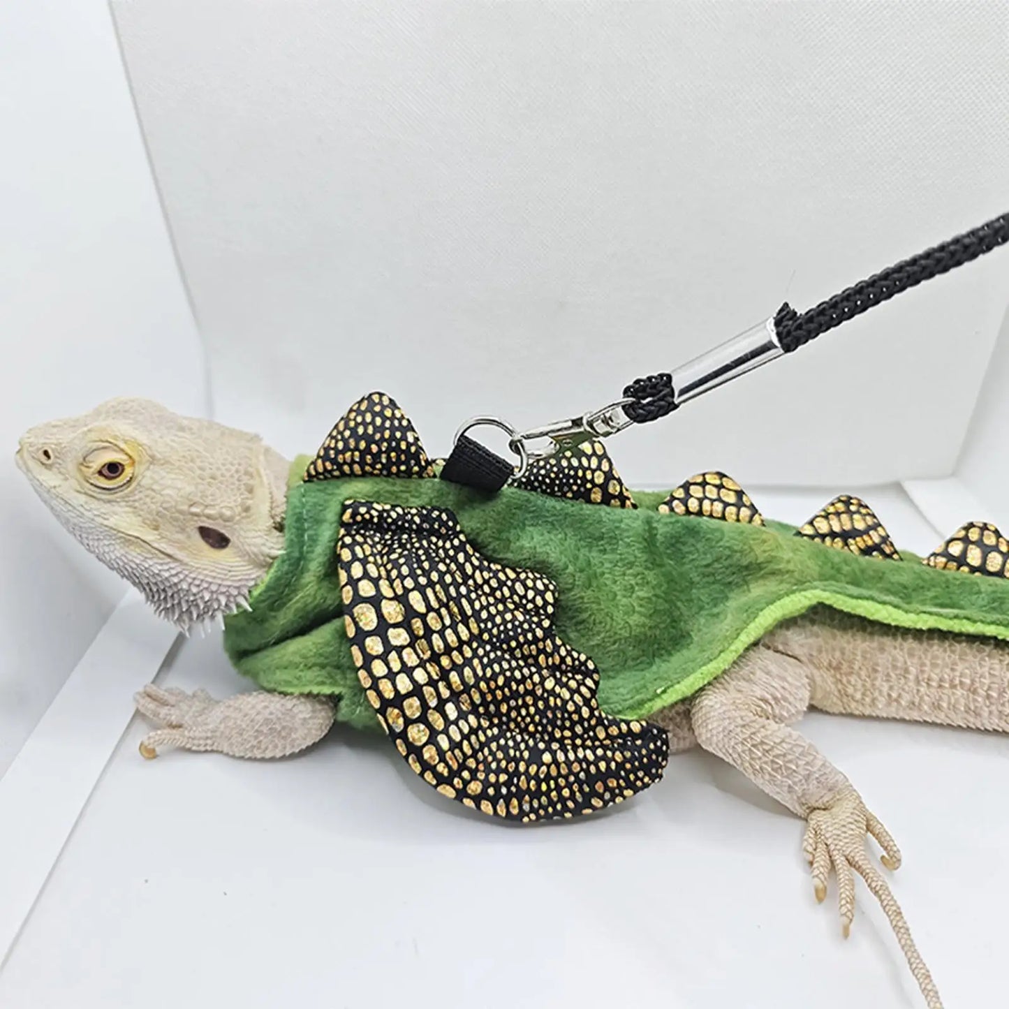 Harnais & Laisse Réglable pour Reptile – Dragon Barbu, Tortue & Petits Animaux