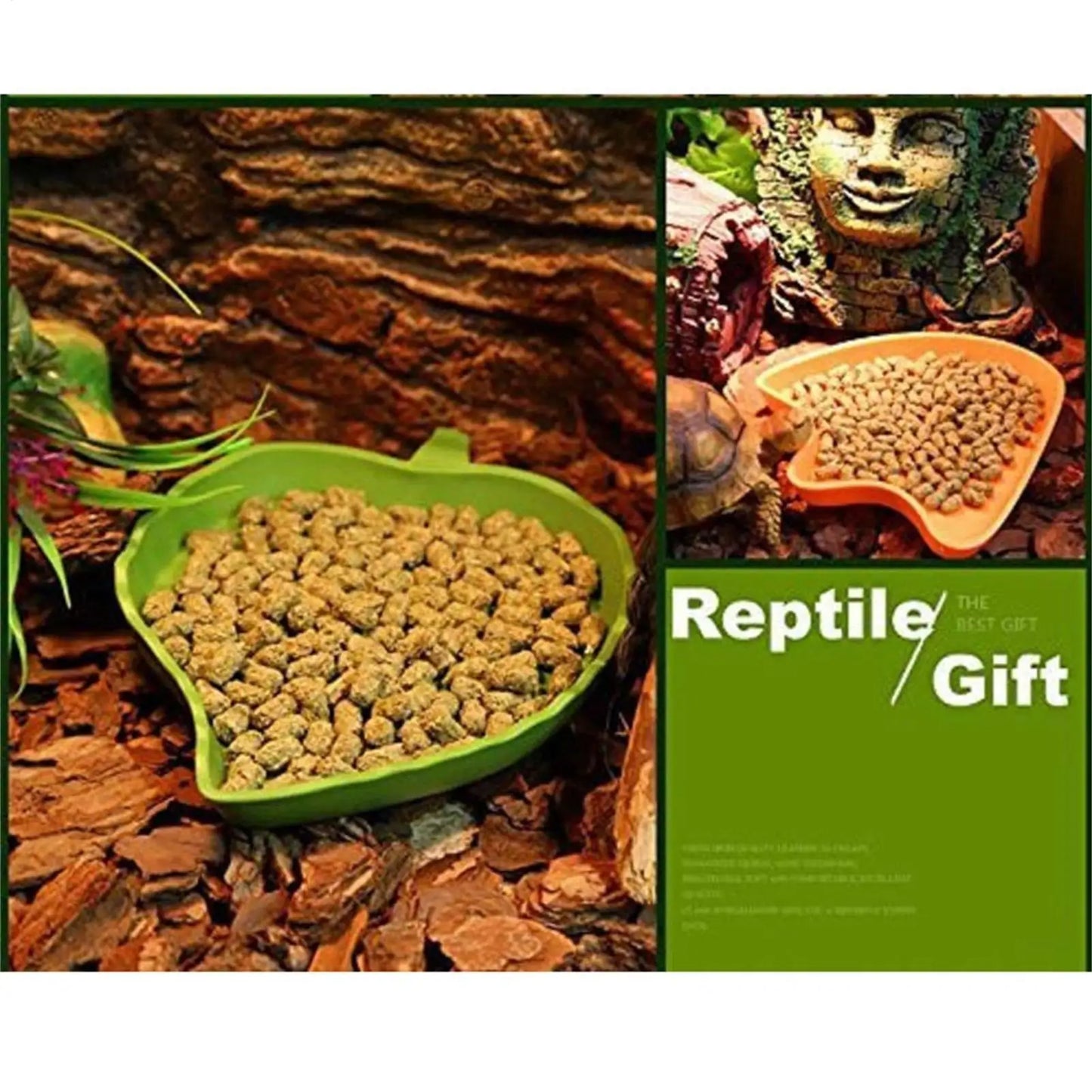 Gamelle en Forme de Feuille pour Reptiles – Eau & Nourriture, PP, S / L