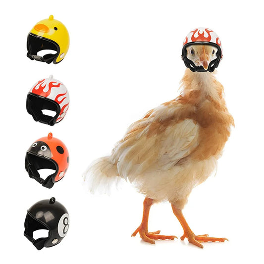 Casque de Protection pour Poulet – Impérmeable & Solaire