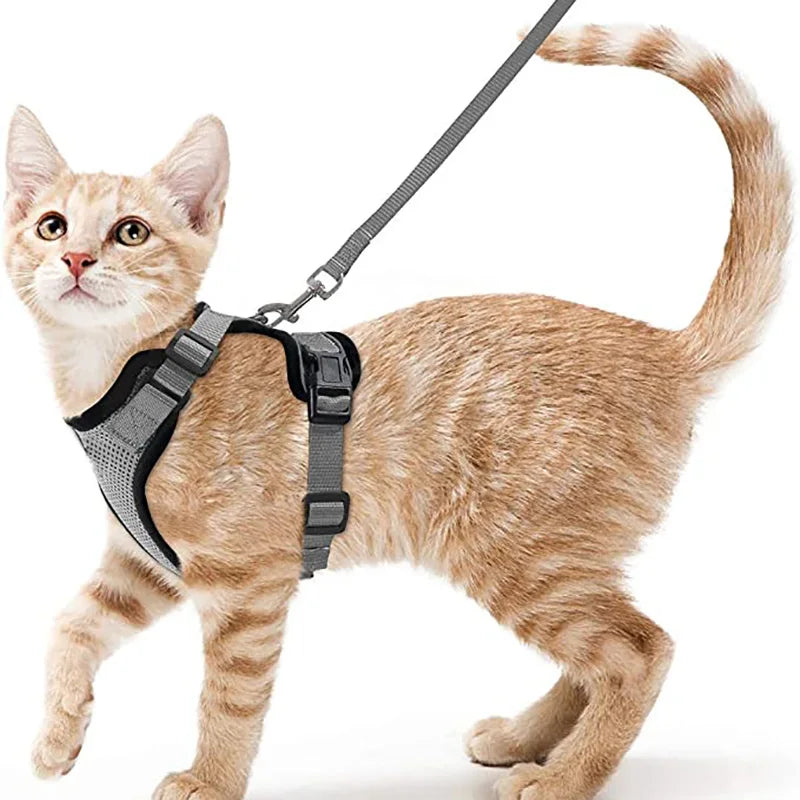 Kattenharnas en -riem, zacht en verstelbaar ontsnappingsbestendig vesttuigje voor katten, EasyControl