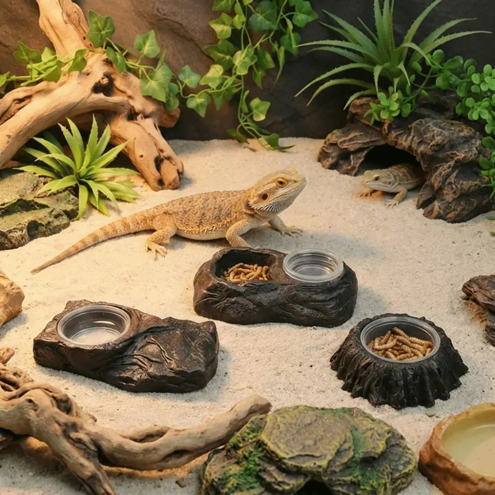 Plat d'alimentation en résine imitation pierre, résistant à l'usure, avec bols, bol pour nourriture de reptile, empêche les déversements, anti-choc