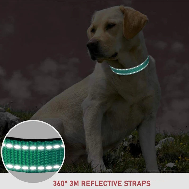 Collier Réfléchissant en Nylon pour Chien – Réglable, Visible de Nuit, 7 Couleurs, S à XL