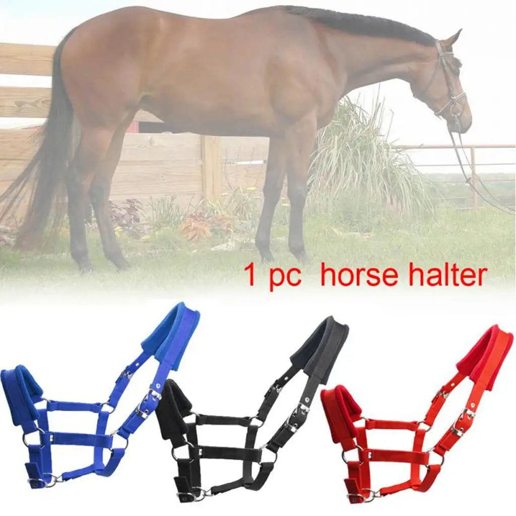 Licol Rembourré en Nylon pour Cheval & Poney – Double Polaire, Réglable, S / M / L