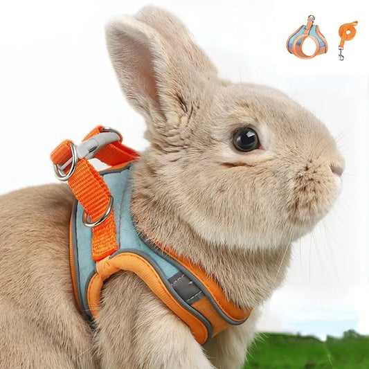 Harnais et laisse réfléchissants pour lapin