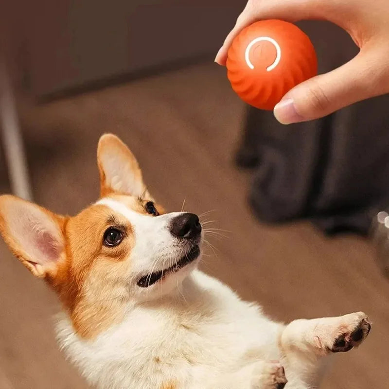 Balle Interactive Automatique pour Chien – USB
