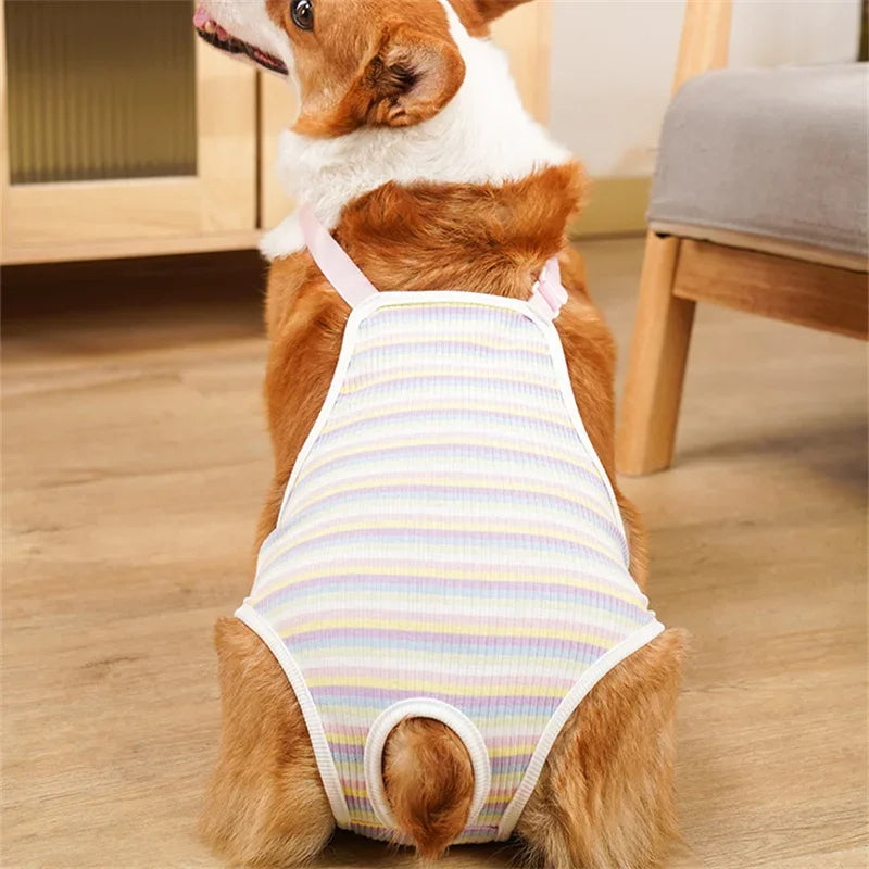 Culotte Physiologique Réglable pour Chienne – Lavable, Toutes Saisons