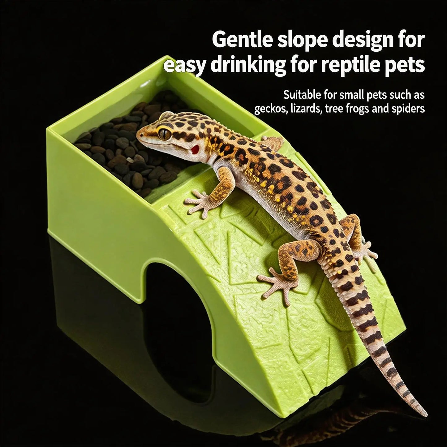 Grotte 2-en-1 pour Reptiles – Abri Décoratif & Bol à Nourriture