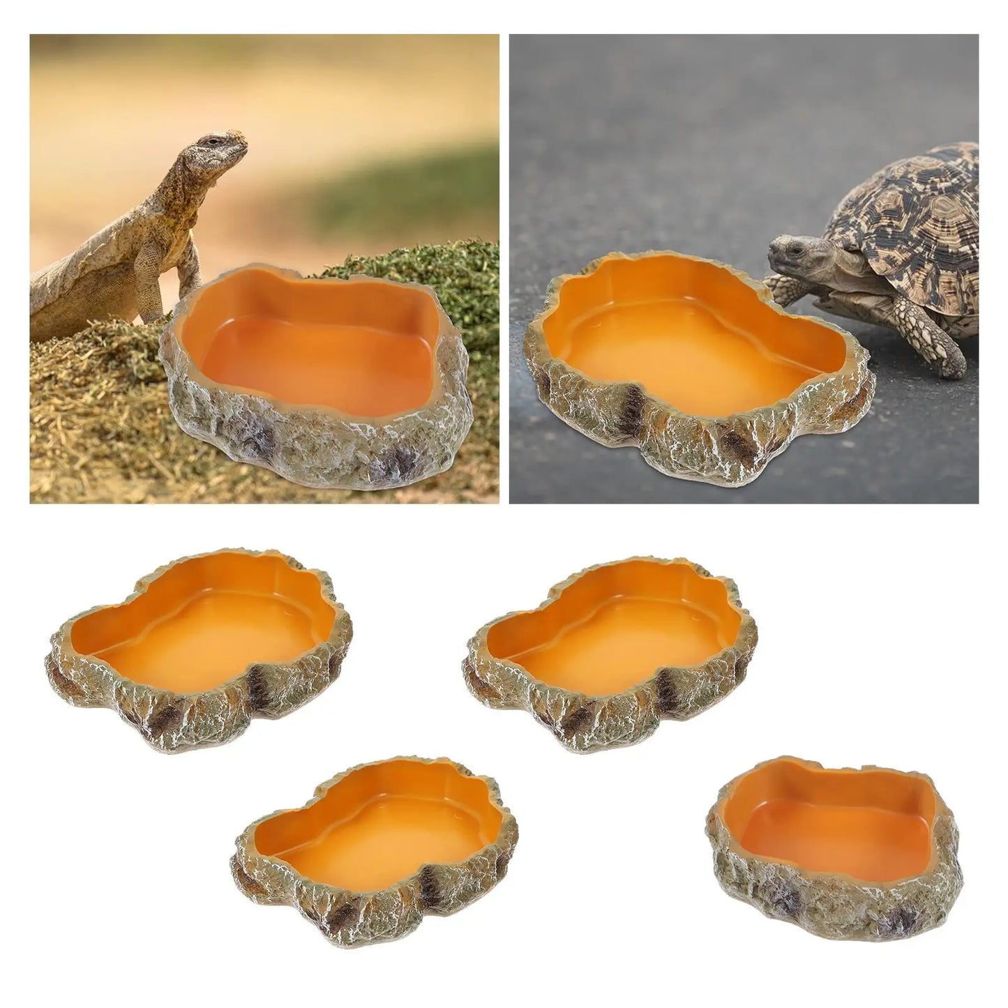 Gamelle en Résine Imitation Roche pour Reptiles & Amphibiens – Eau & Nourriture, XS à L