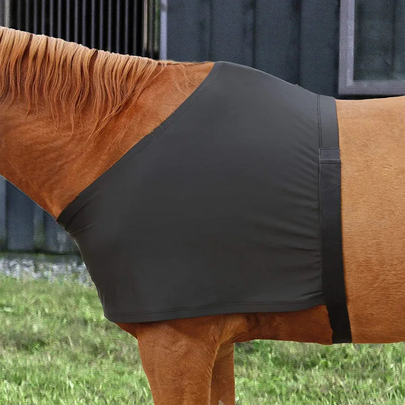 Gilet de protection poitrine et épaules pour cheval – Haute élasticité, anti-friction