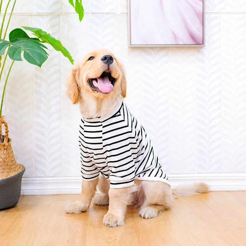 Vêtement d'Été pour Grand Chien – T-shirt & Débardeur