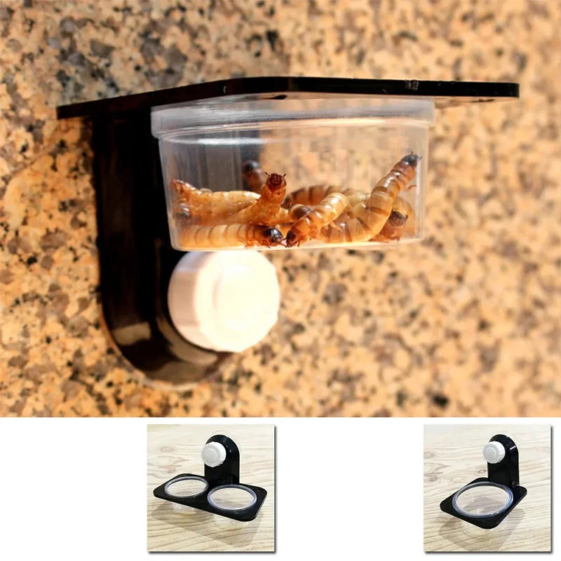 Mangeoire Murale pour Terrarium – Boîte d'Alimentation Anti-évasion