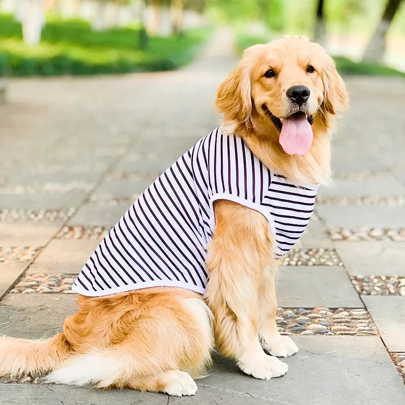 Vêtement d'Été pour Grand Chien – T-shirt & Débardeur