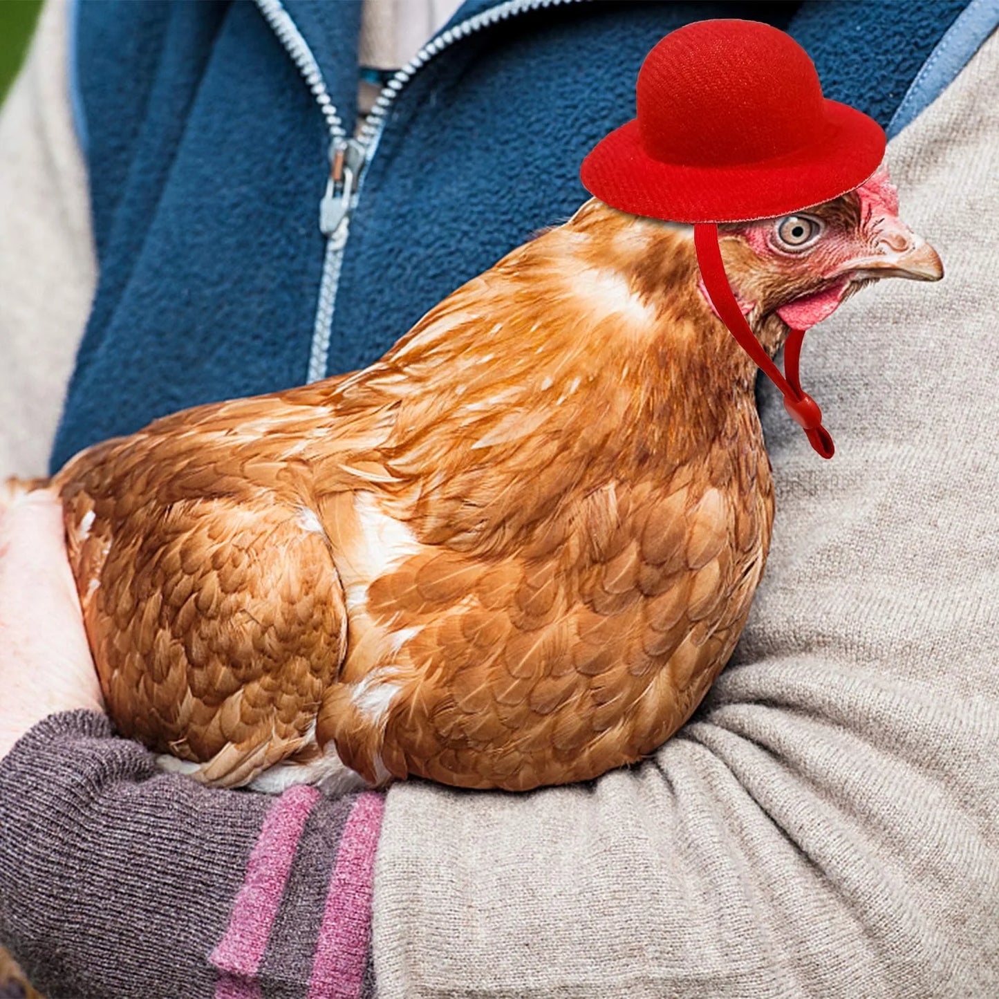 Mini Chapeau à Plumes pour Poule & Petits Animaux – 12 Couleurs