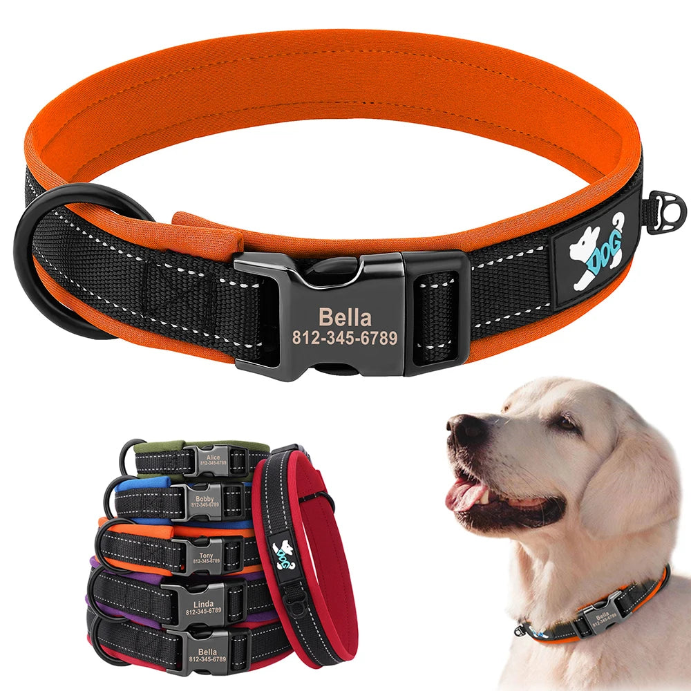 Collier pour Chien Personnalisable | Réfléchissant, Rembourré & Médaille Gravée Offerte