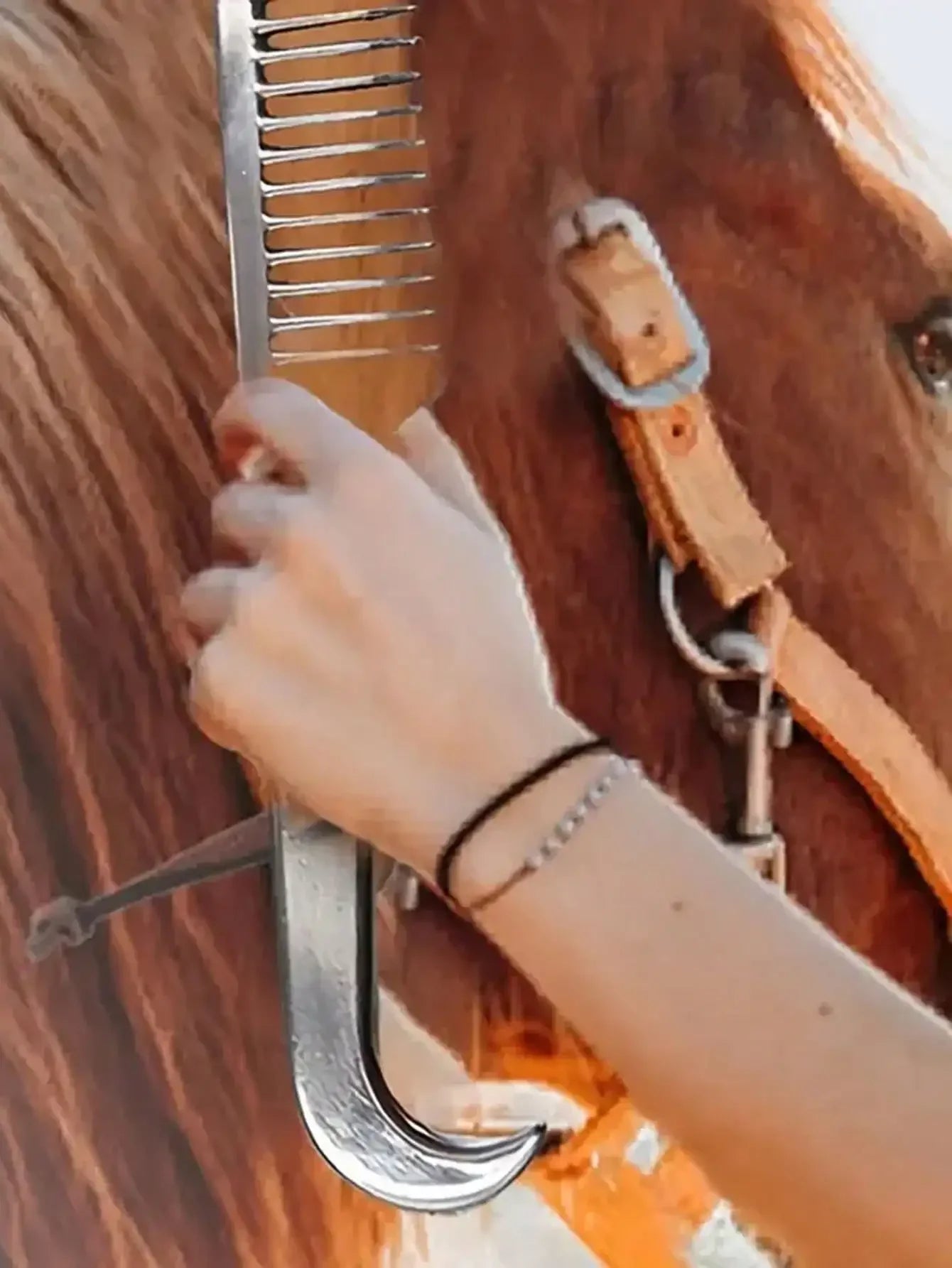 Peigne Crinière & Queue en Alliage d'Aluminium – Anti-Nœuds, Léger, Pansage Cheval