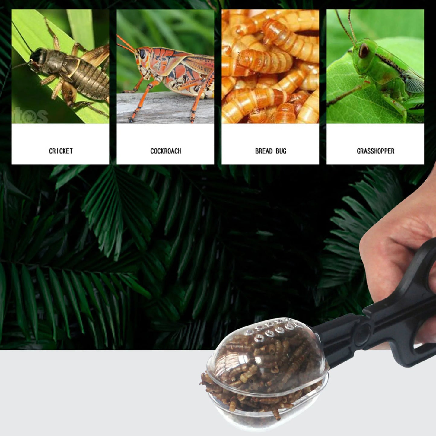 Pince à Insectes Transparente pour Reptiles – Capture Vivante, Plastique ABS, Tortue & Lézard