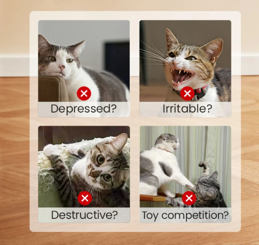 Kattenspeeltjes in visvorm, kattenkruid kauwspeeltjes, zacht en duurzaam, interactief speelgoed voor kittens met geluid en kauw- en bijtspeeltjes, kattenaccessoires