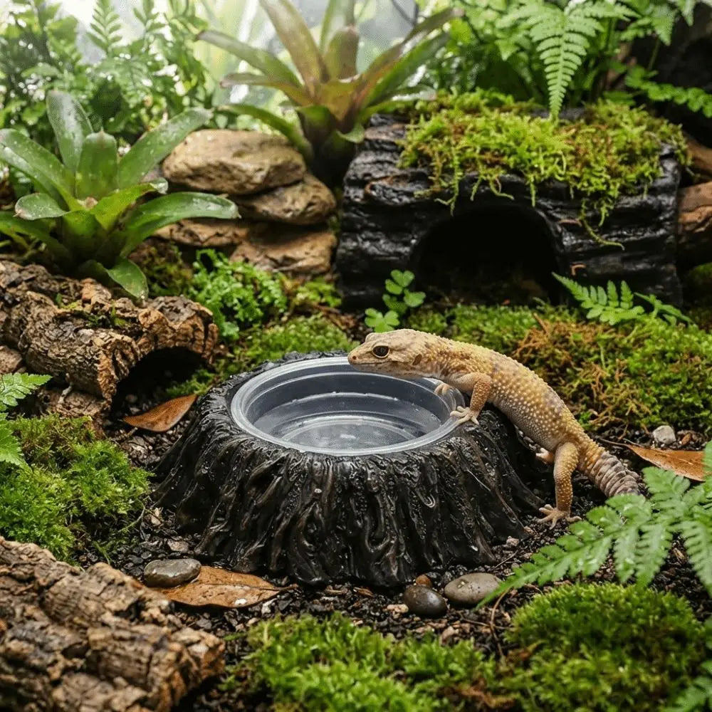 Plat d'alimentation en résine imitation pierre, résistant à l'usure, avec bols, bol pour nourriture de reptile, empêche les déversements, anti-choc