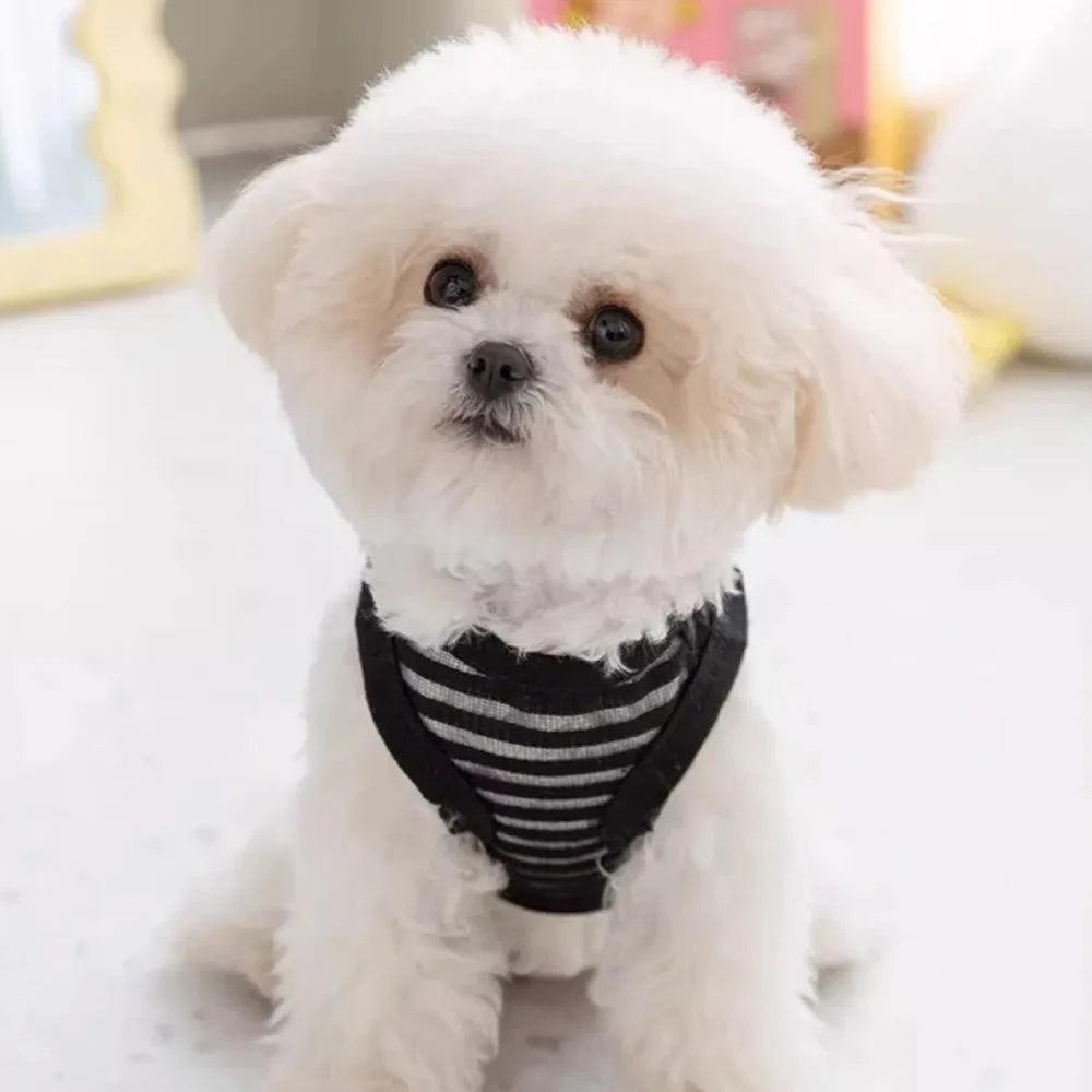 Gilet d'été pour petits et moyens chiens, vêtements rafraîchissants pour Chihuahua, Bouledogue Français, vêtements respirants, chemise décontractée pour chiot, costume pour chien