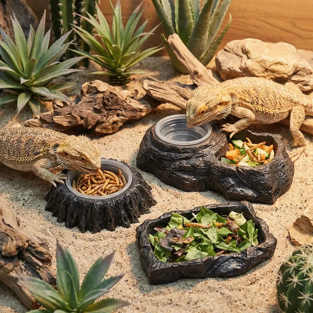 Plat d'alimentation en résine imitation pierre, résistant à l'usure, avec bols, bol pour nourriture de reptile, empêche les déversements, anti-choc