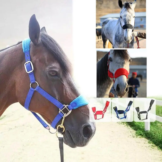 Licol Rembourré en Nylon pour Cheval & Poney – Double Polaire, Réglable, S / M / L
