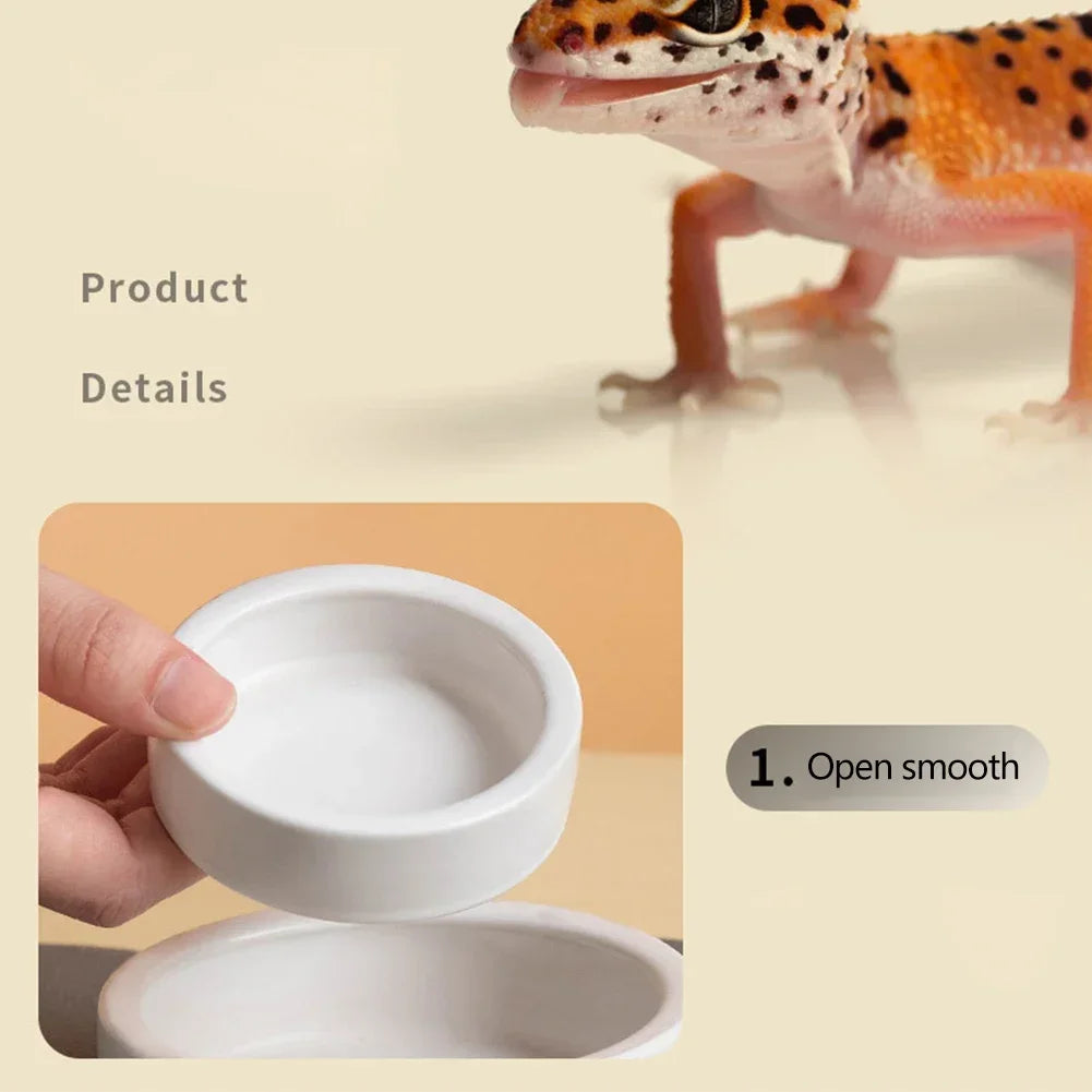 Coupelle en Céramique Ronde Anti-Évasion pour Reptiles – Fond Antidérapant, S / M / L