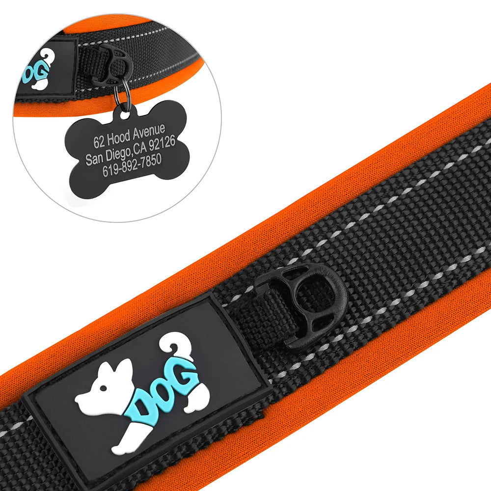 Collier pour Chien Personnalisable | Réfléchissant, Rembourré & Médaille Gravée Offerte