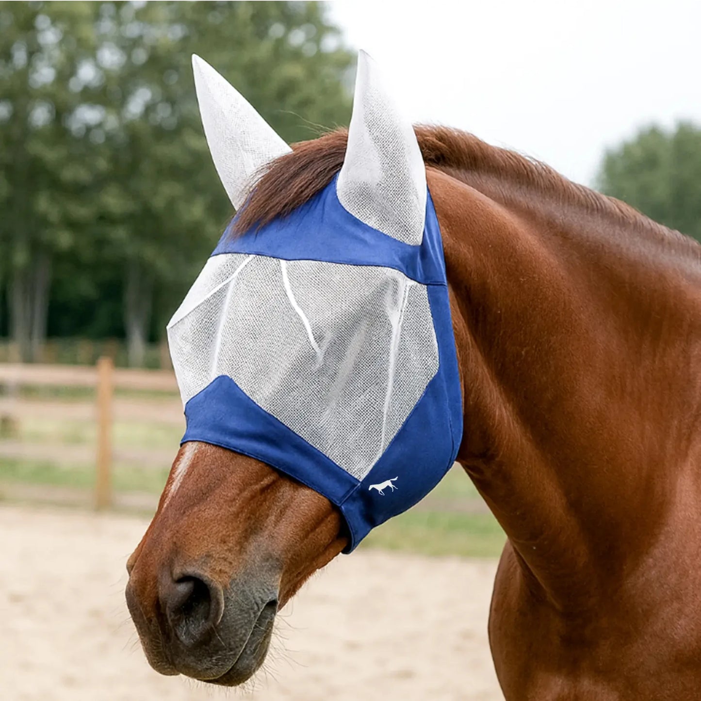 Cagoule de protection pour cheval – Anti-mouches, vent et sable (4 saisons)