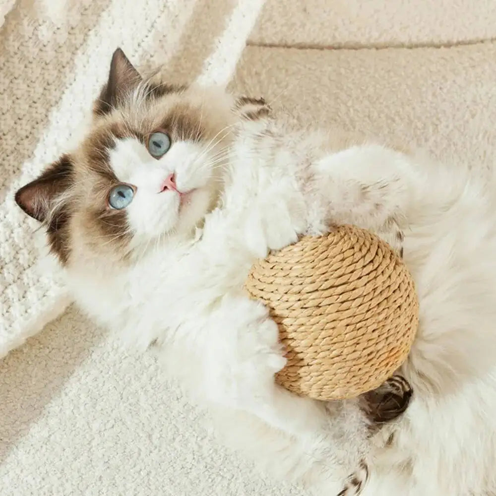 Balle à griffer interactive en sisal pour chatons, jouet anti-morsure, 10 cm, super grosse balle sonore pour chats, accessoires pour animaux de compagnie