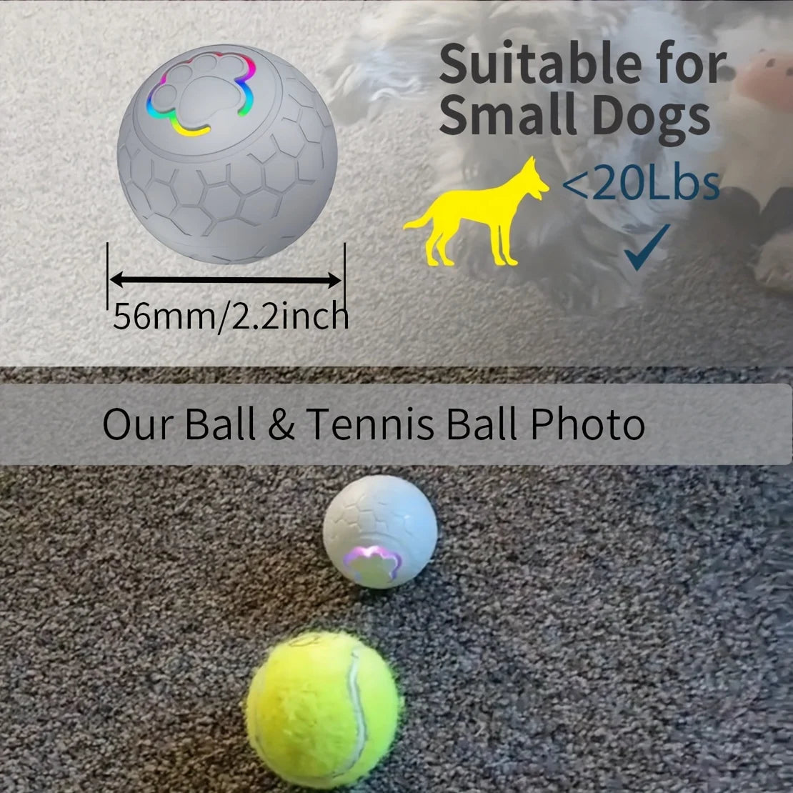 Balle Interactive Rechargeable pour Chien | Rebonds Automatiques & Connectée