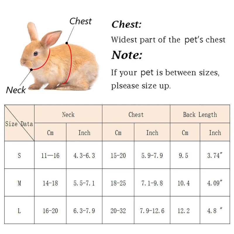 Harnais et laisse réglables pour lapin, chat et furet