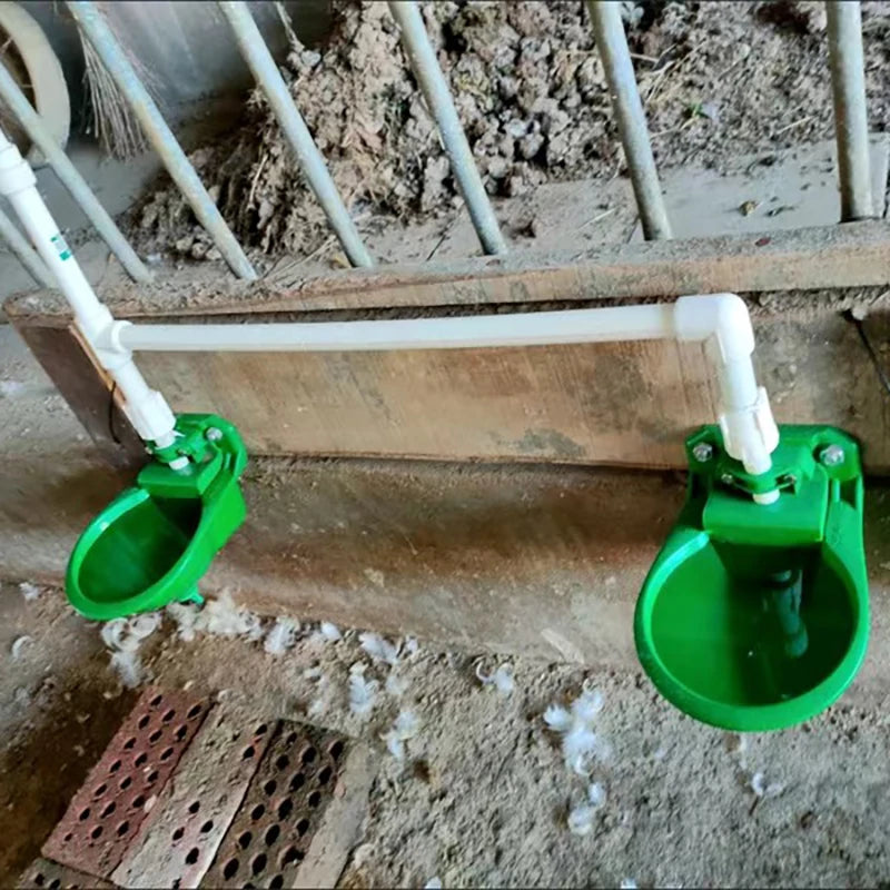 Abreuvoir Automatique à Valve pour Mouton, Chèvre & Bétail