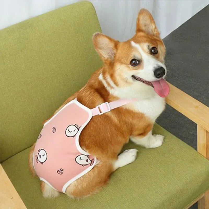 Culotte Physiologique Réglable pour Chienne – Lavable, Toutes Saisons
