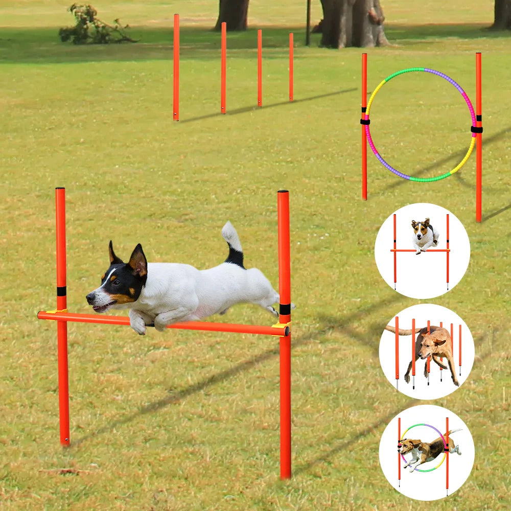 Kit d'Agilité pour Chien – Obstacles & Piquets d'Entraînement Portables