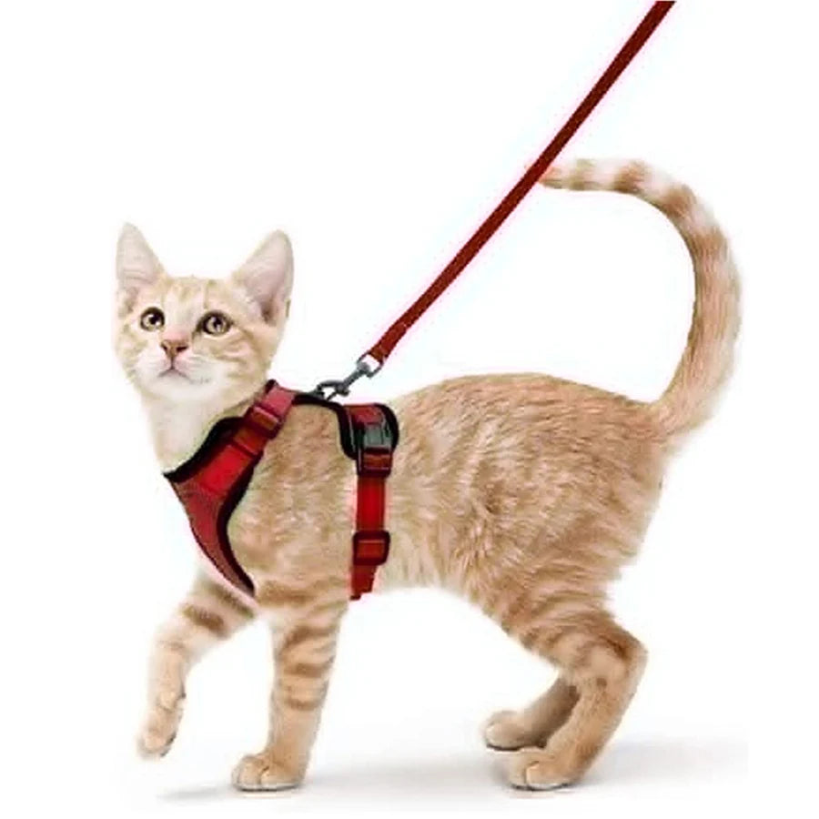 Kattenharnas en -riem, zacht en verstelbaar ontsnappingsbestendig vesttuigje voor katten, EasyControl