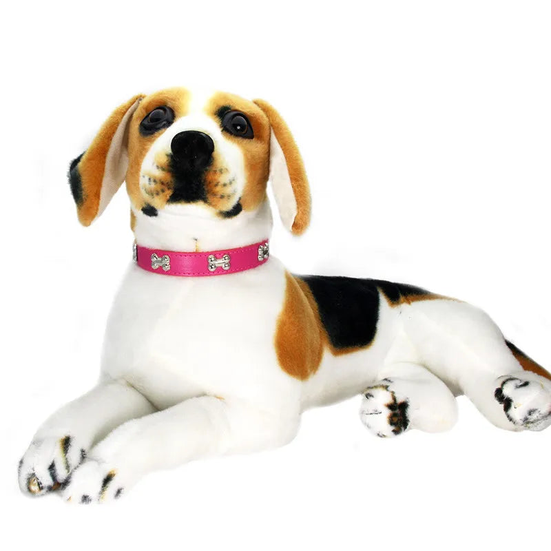 Collier en Cuir pour Chien – 16 Couleurs, Tailles XS à L