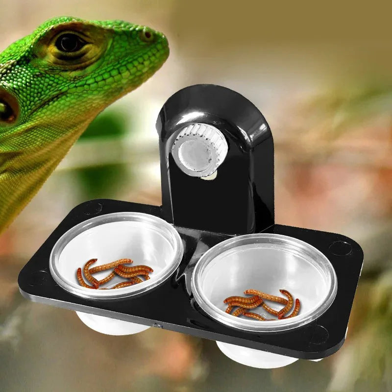 Mangeoire Murale pour Terrarium – Boîte d'Alimentation Anti-évasion