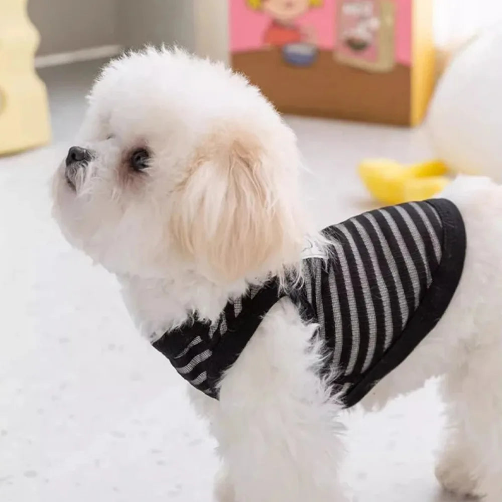 Gilet d'été pour petits et moyens chiens, vêtements rafraîchissants pour Chihuahua, Bouledogue Français, vêtements respirants, chemise décontractée pour chiot, costume pour chien