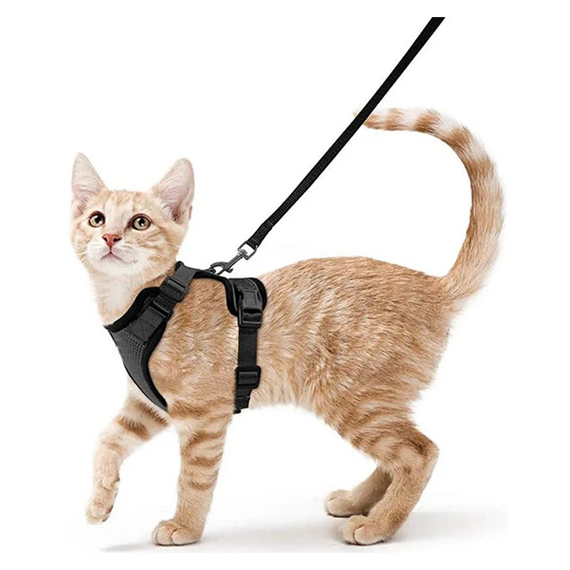 Kattenharnas en -riem, zacht en verstelbaar ontsnappingsbestendig vesttuigje voor katten, EasyControl