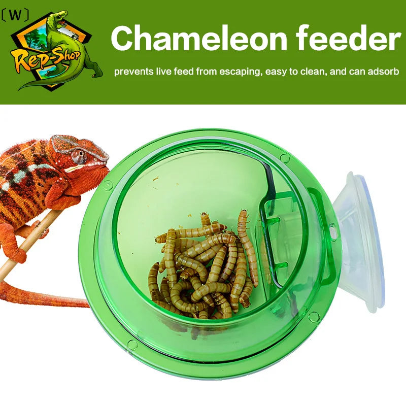 Mangeoire à Ventouse Anti-évasion pour Reptiles – Terrarium