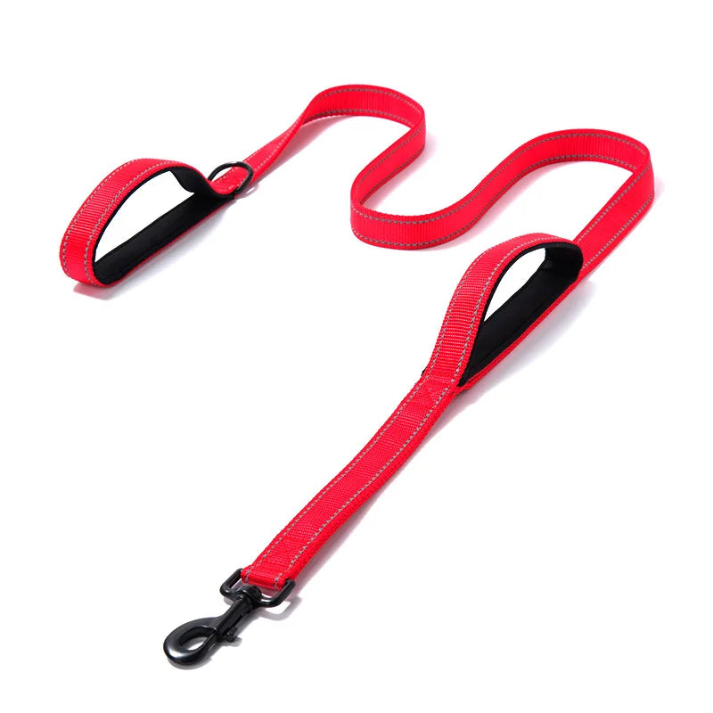 Laisse chien double poignée réfléchissante – Nylon robuste, L 150 cm & XL 180 cm