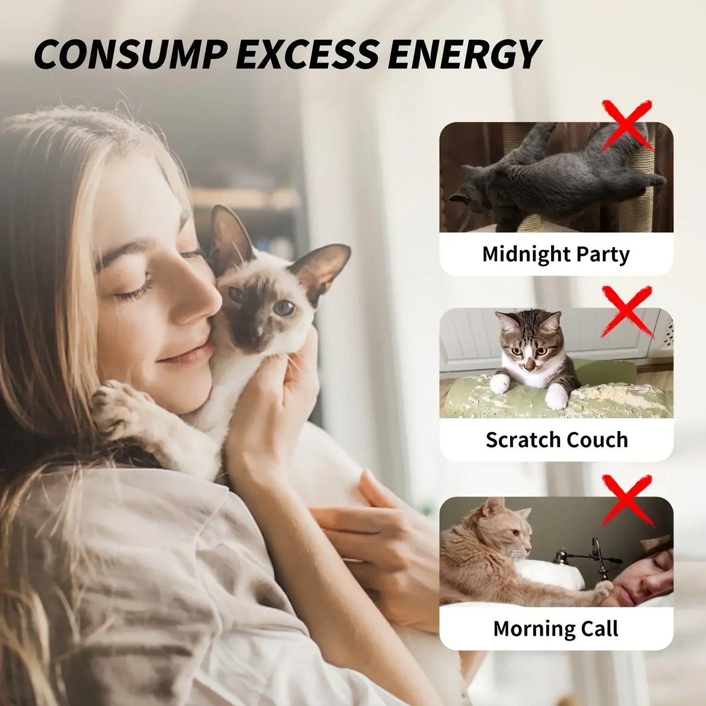 Canne à pêche télescopique pour chat