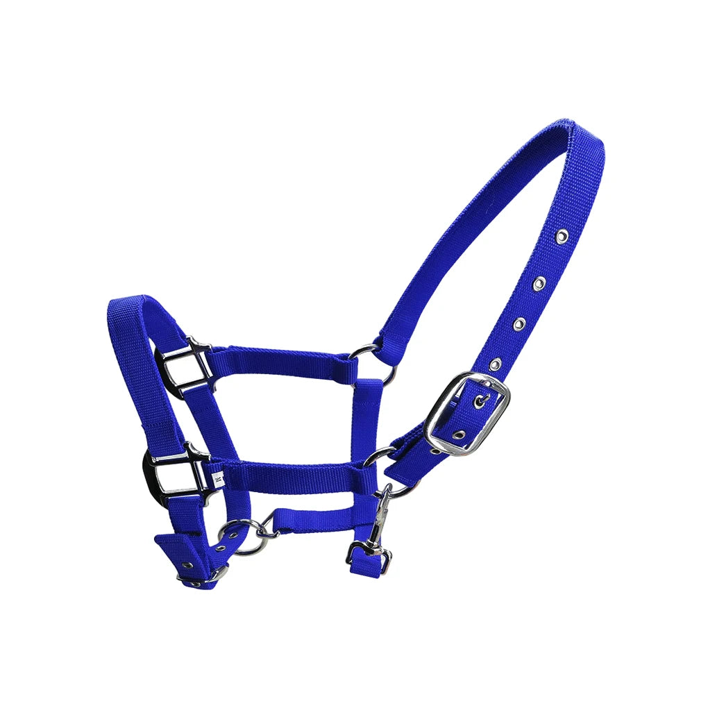 Licol Réglable Anti-Rouille pour Poney & Cheval – Alliage de Zinc, 3 Couleurs, XS à XL