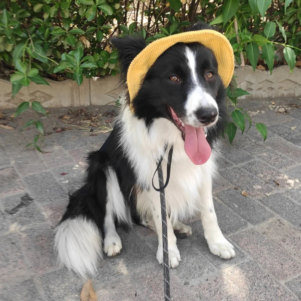 Chapeau pour Chien Anti-UV Réglable – Tailles XS à XL, Velours Côtelé