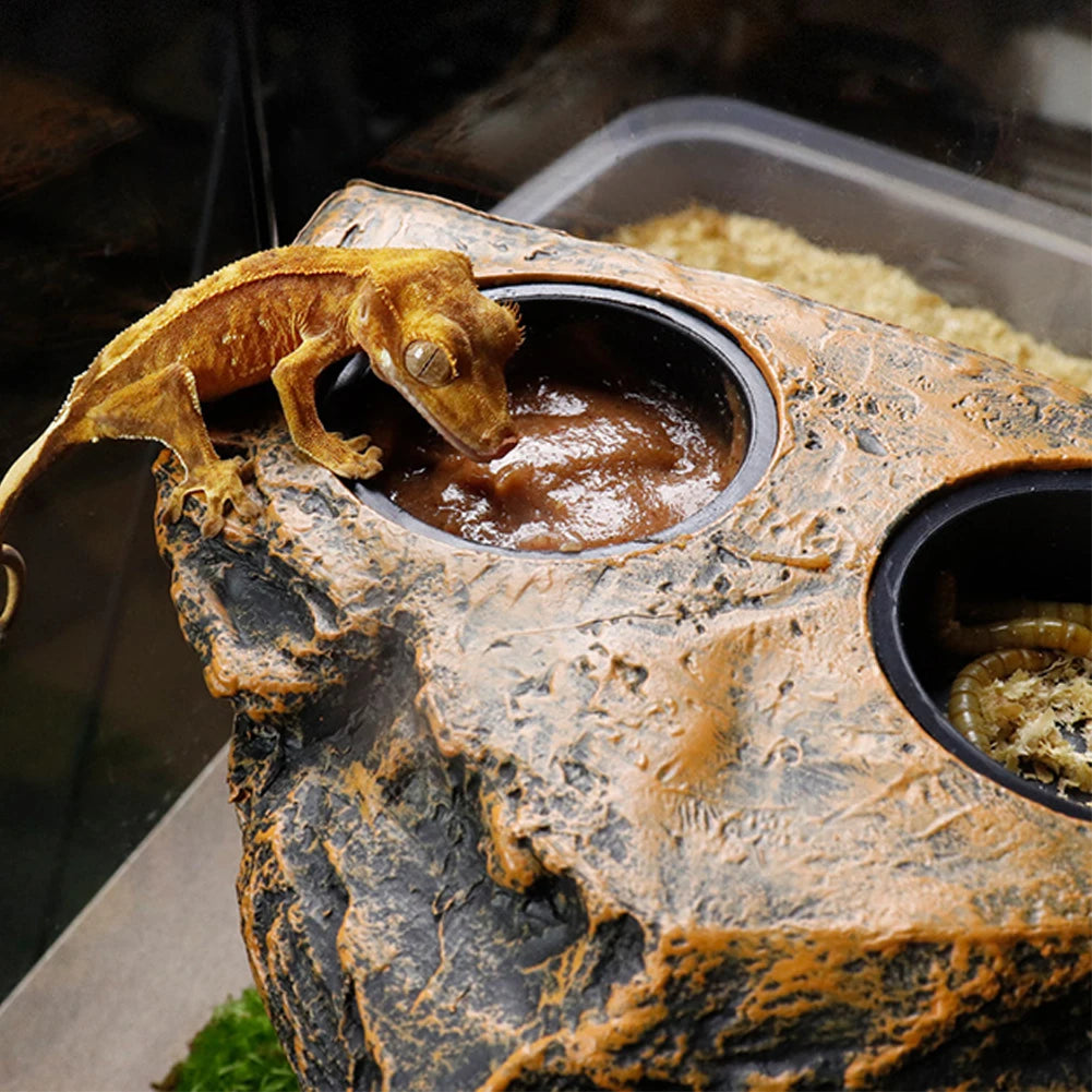 Rebord d'Alimentation Magnétique pour Reptiles – Simple ou Double