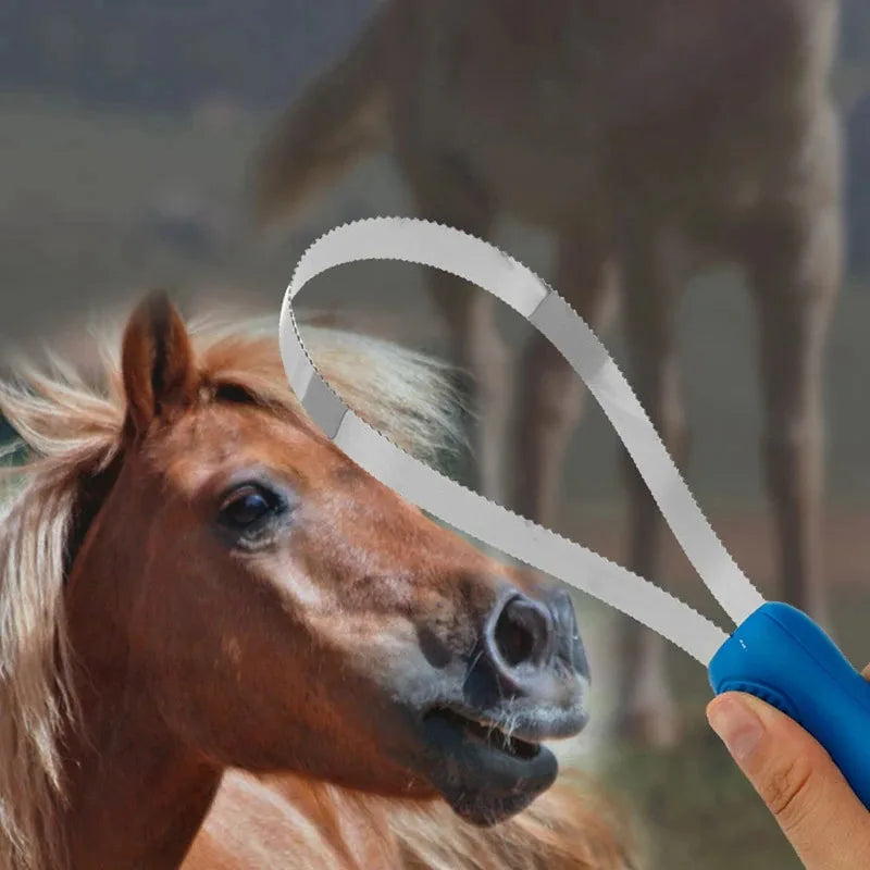 Paardenkam, paardenkrabborstel, antislipkam, geschikt voor paarden, runderen en alle hondenrassen, zweetkrabber