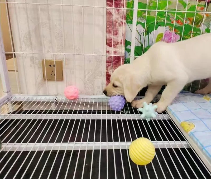 Balle Couinante pour Chiot & Petit Chien – 6 cm, 17 Modèles, Jouet à Mâcher XLeiPet
