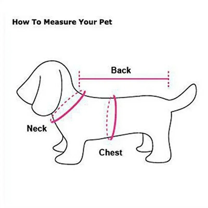 Vêtement d'Été pour Grand Chien – T-shirt & Débardeur